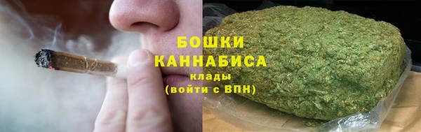 ГАЛЛЮЦИНОГЕННЫЕ ГРИБЫ Алзамай