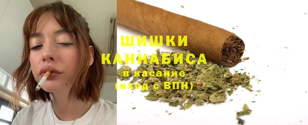 ГАЛЛЮЦИНОГЕННЫЕ ГРИБЫ Алзамай