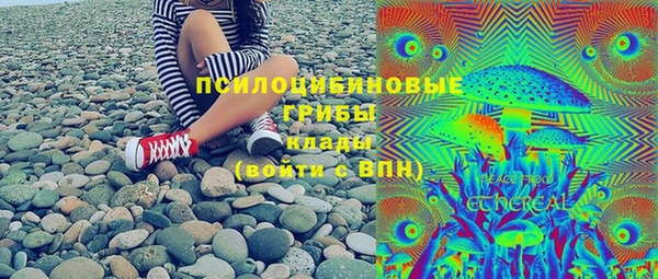 ГАЛЛЮЦИНОГЕННЫЕ ГРИБЫ Алзамай