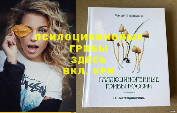 ГАЛЛЮЦИНОГЕННЫЕ ГРИБЫ Алзамай